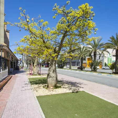 Apartamento Alegria Id14 Torrevieja