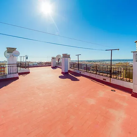 Alegria Id14 Torrevieja