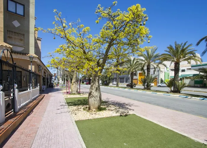 Appartamento Alegria Id14 Torrevieja